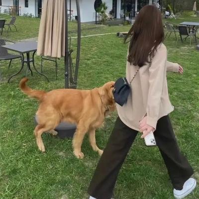 我是赵传奇