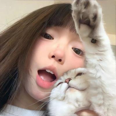 花系列:一